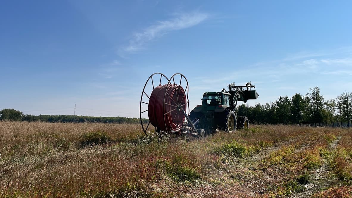 installation-of-pasture-pipeline-on-farm