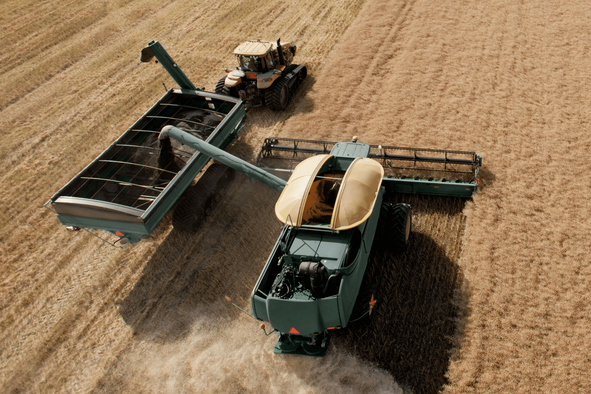 aerial-shot-of-canola-harvesting