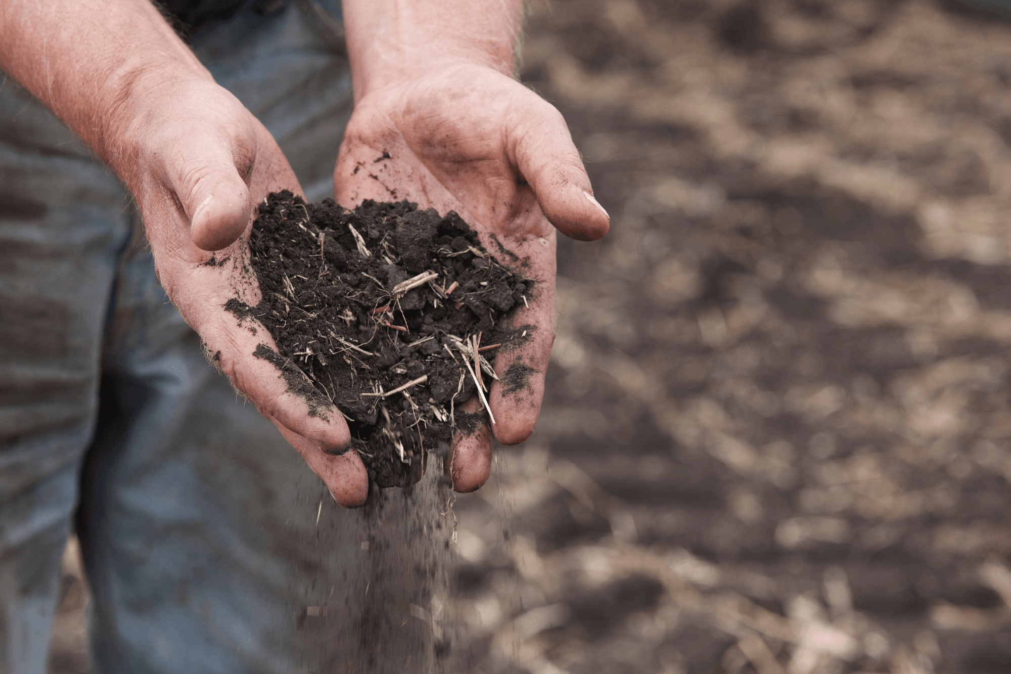 hands-holding-rich-soil