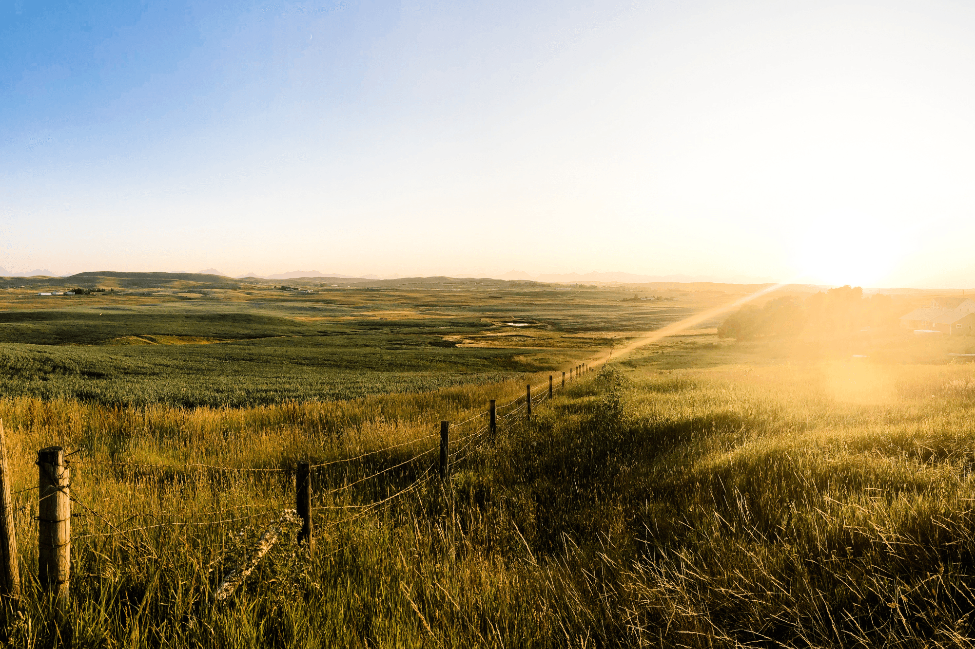 shining-sun-on-alberta-prairies