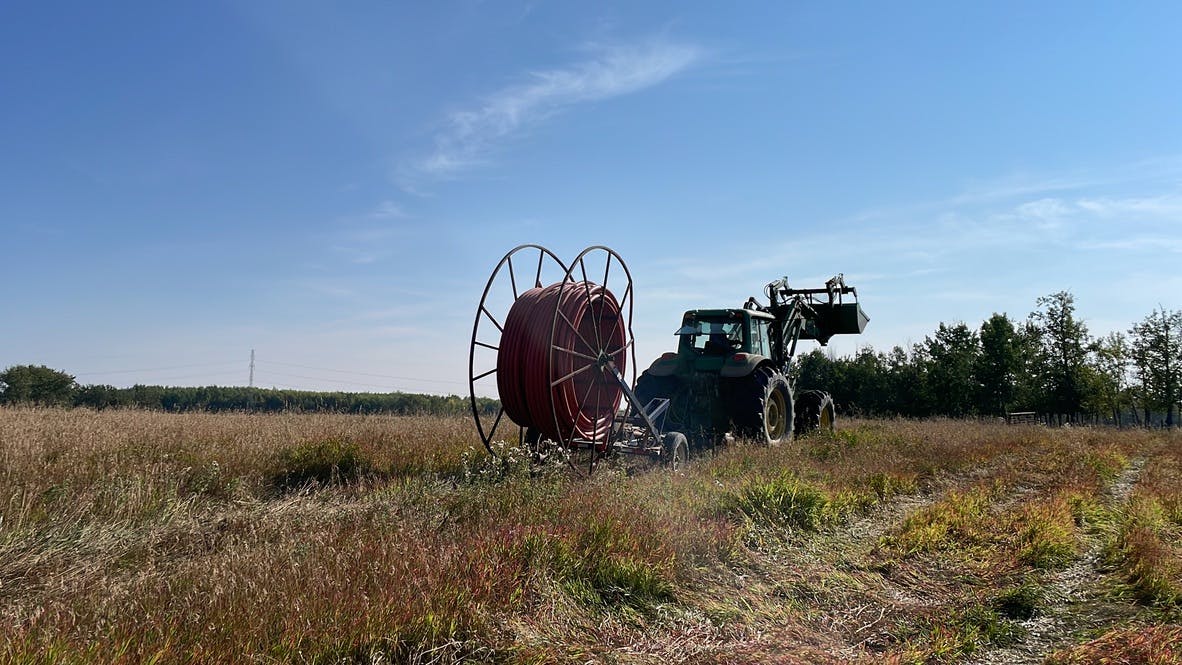 installation-of-pasture-pipeline-on-farm
