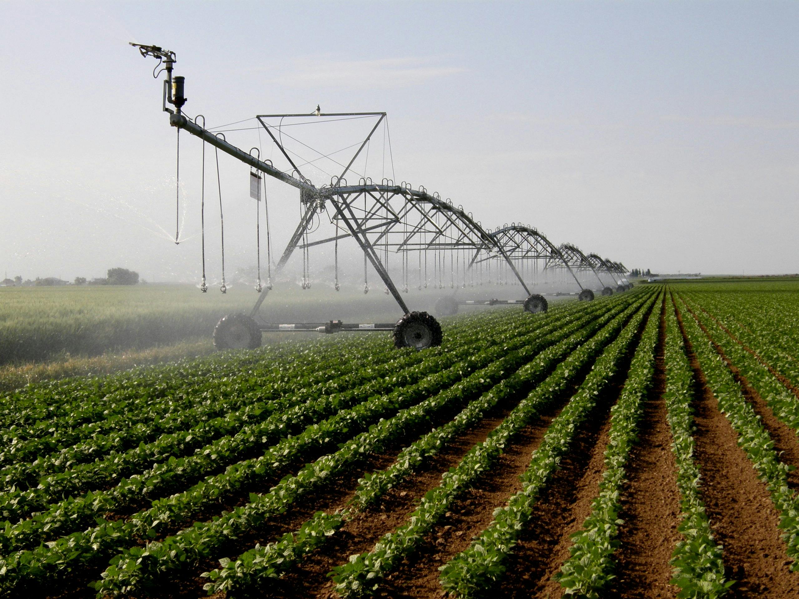 irrigation-equipment-on-crops