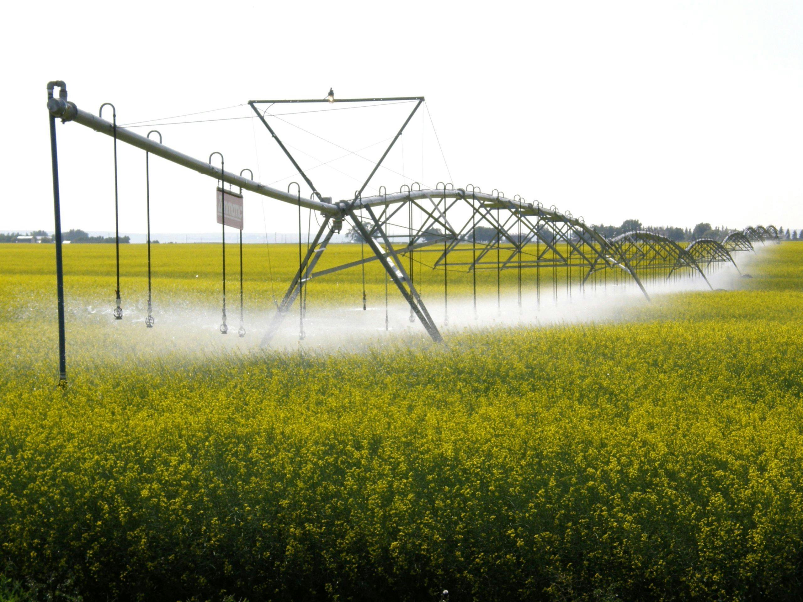 irrigation-equipment-watering-canola-crops