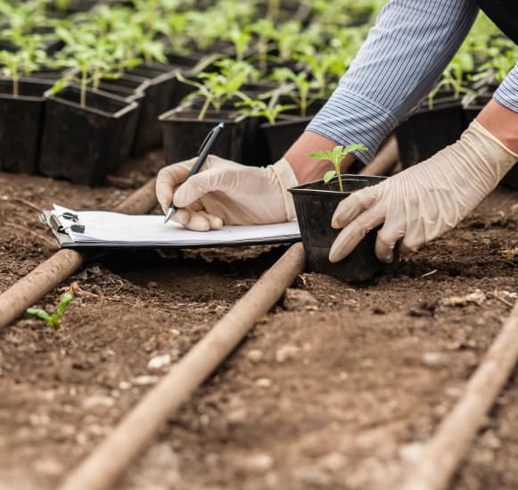 research driven agriculture